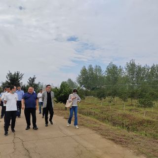 揚州自然資源局和農(nóng)業(yè)農(nóng)村局領導參觀檢查
